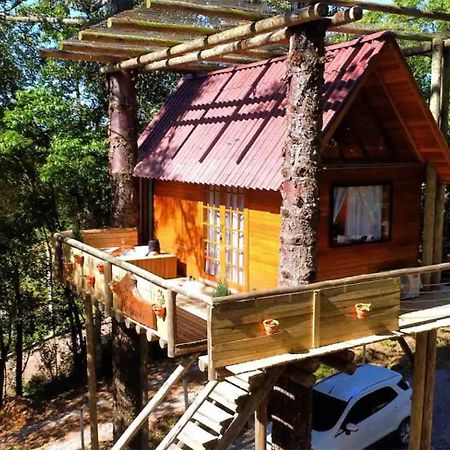 Casa Na Arvore Com Hidro, Piscina, Trilha, Cavalo Бенту-Гонсалвис Экстерьер фото