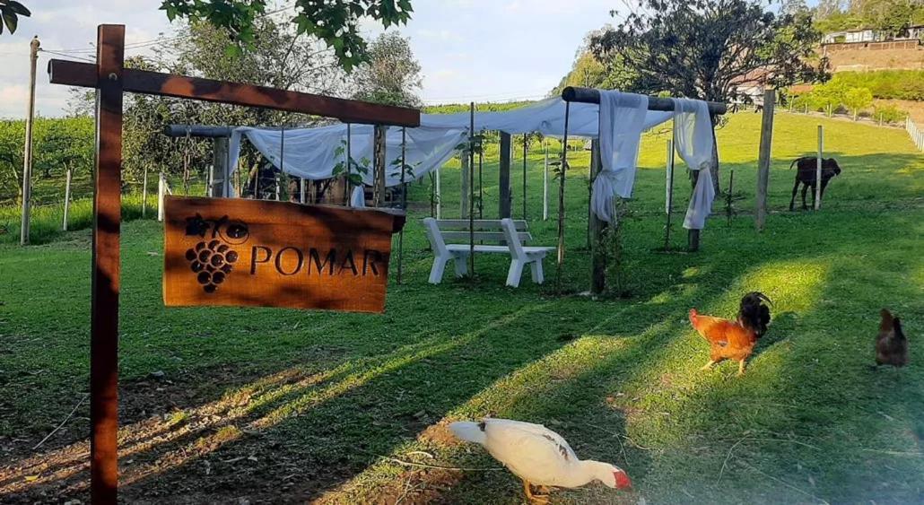 Casa Na Arvore Com Hidro, Piscina, Trilha, Cavalo Бенту-Гонсалвис Экстерьер фото